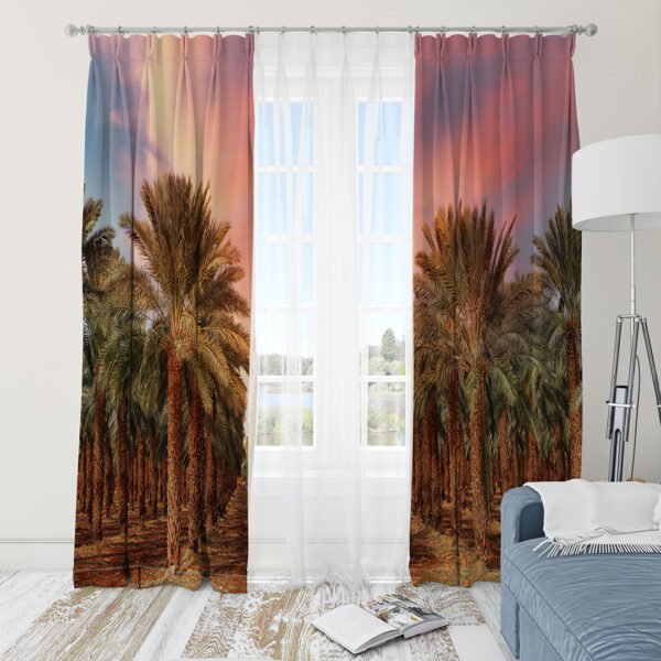 ستارة نخل سعودية